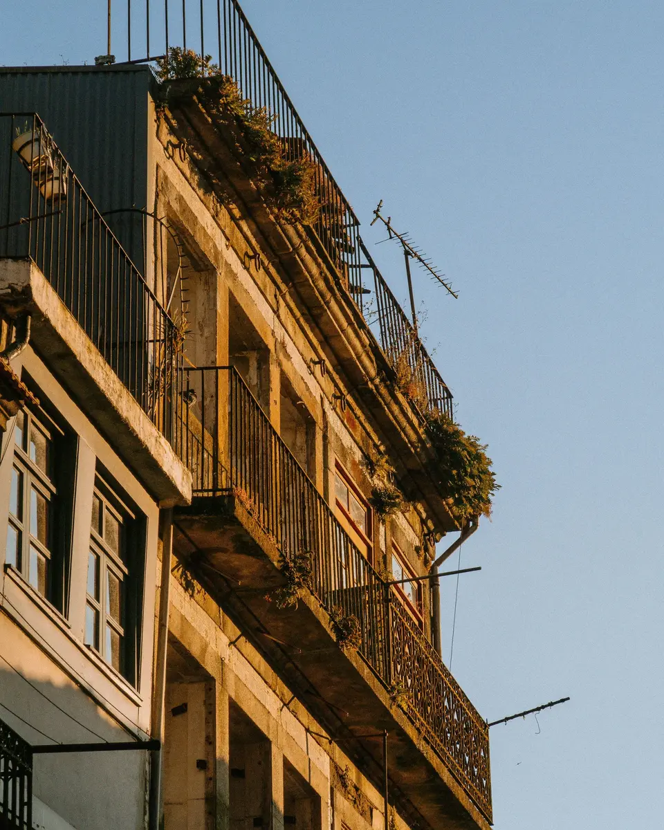 A Porto apartment building with plants on its balconies